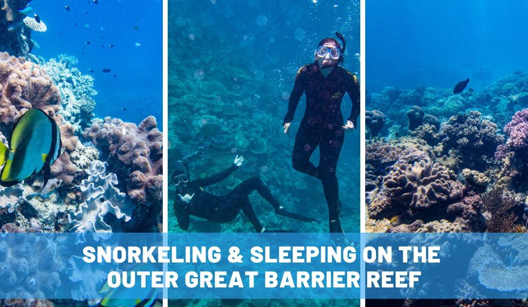 Snorkeling & Sleeping on the Outer Great Barrier Reef with a Diver’s Den Liveaboard Experience