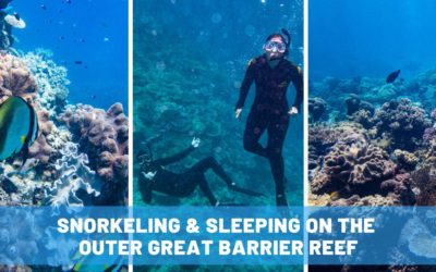 Snorkeling & Sleeping on the Outer Great Barrier Reef with a Diver's Den Liveaboard Experience