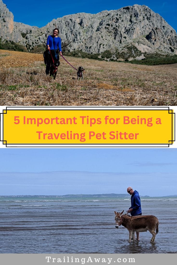 5 Important Tips for Being a Traveling Pet Sitter with TrustedHousesitters