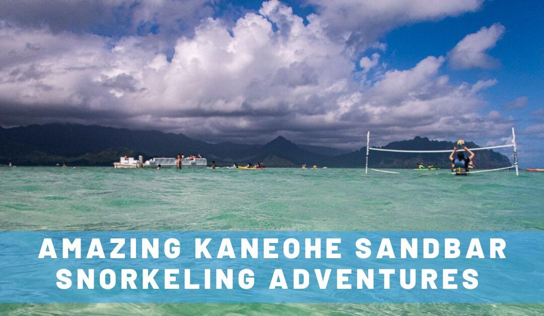 3 AMAZING Kaneohe Sandbar Snorkeling Adventure Options for Your Trip to Hawaii!