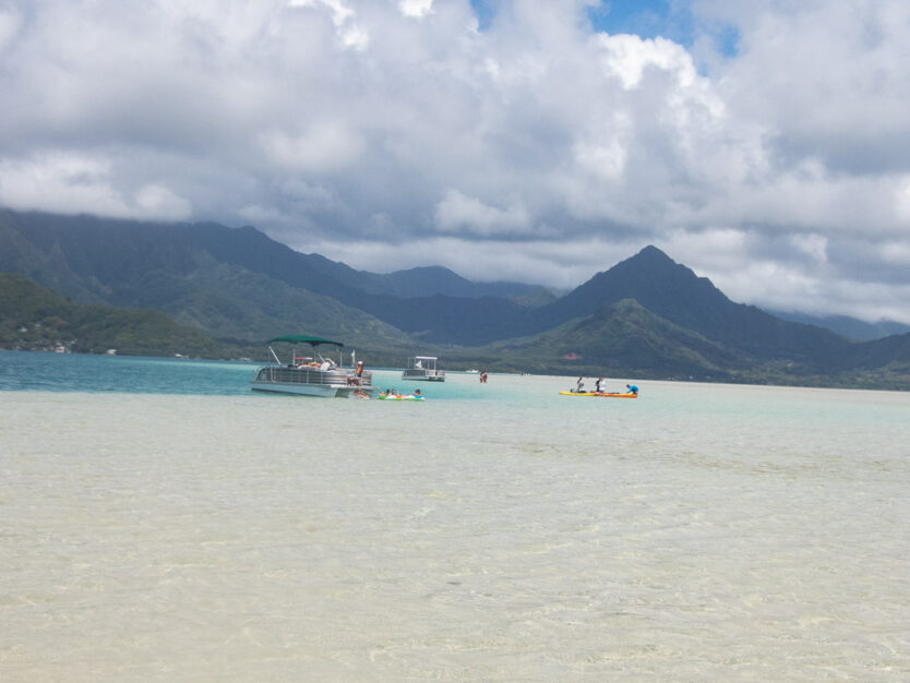 kaneohe sandbar at low tide