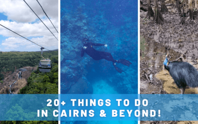 20+ Fantastic Things to Do in Cairns, Australia (& Beyond!)