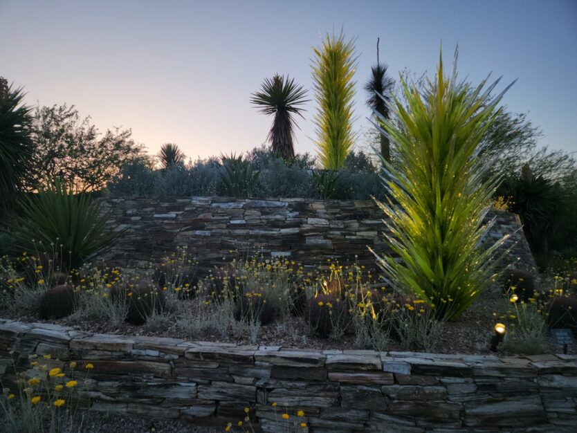 desert botanical garden artwork