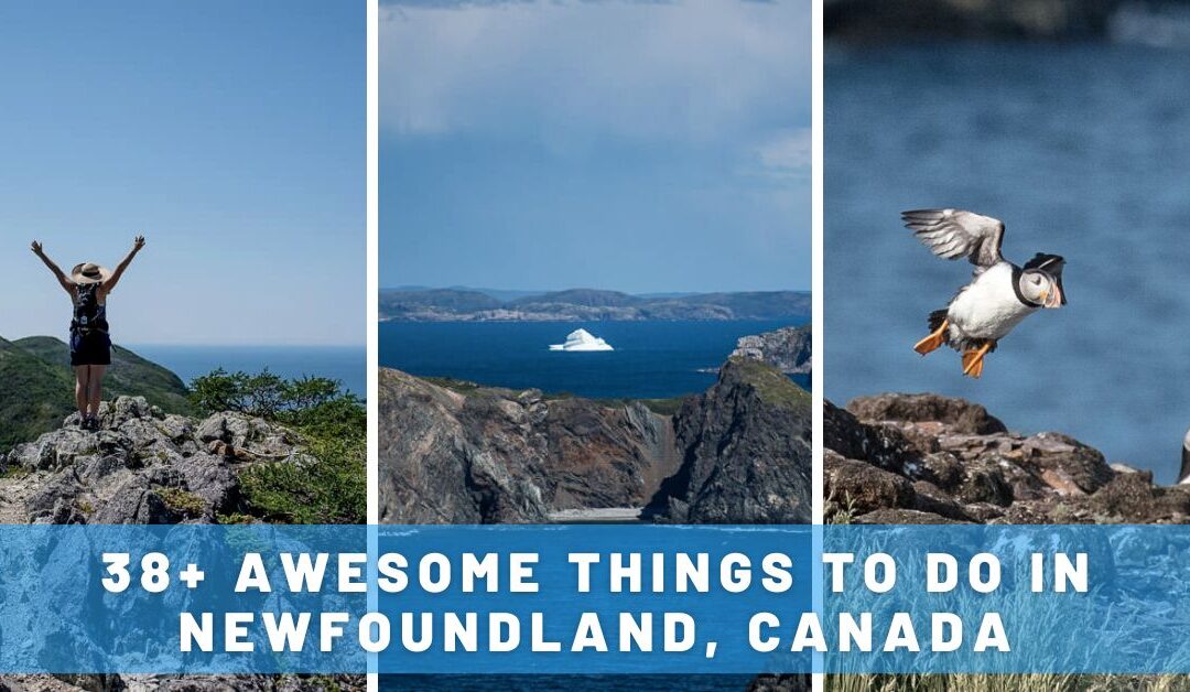 38 Awesome Things to Do in Newfoundland