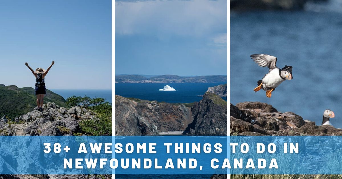38 Awesome Things to Do in Newfoundland