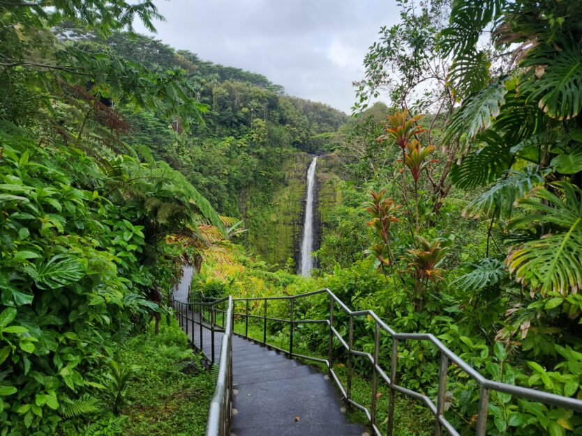 akaka falls hilo waterfall