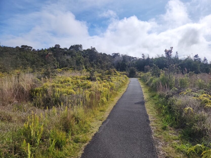 part of crater rim trail in hawaii volcanoes national park