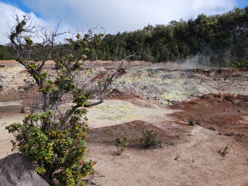sulphur banks trail hawaii volcanoes national park