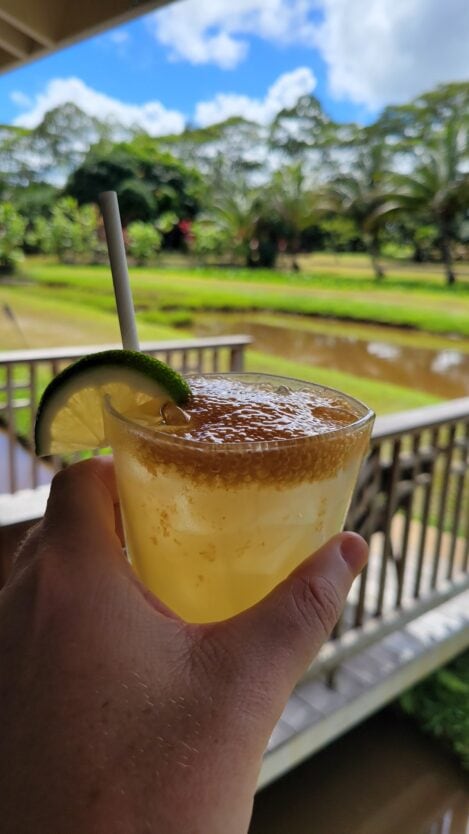 cocktail tasting on rum safari in kauai