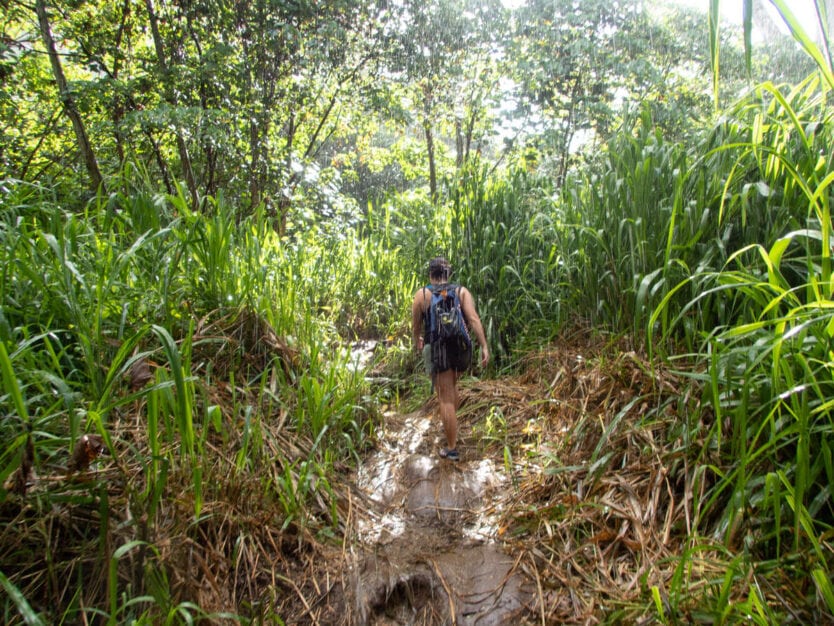 rainy hike on secret falls in kauai hawaii