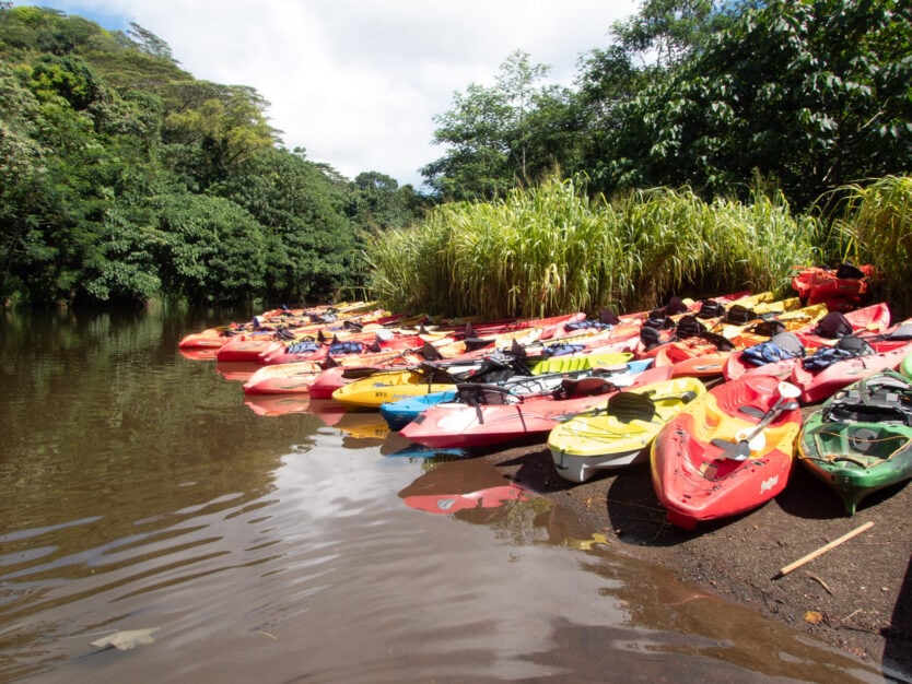 kayaks on banks of wailua river to secret falls kauai hike