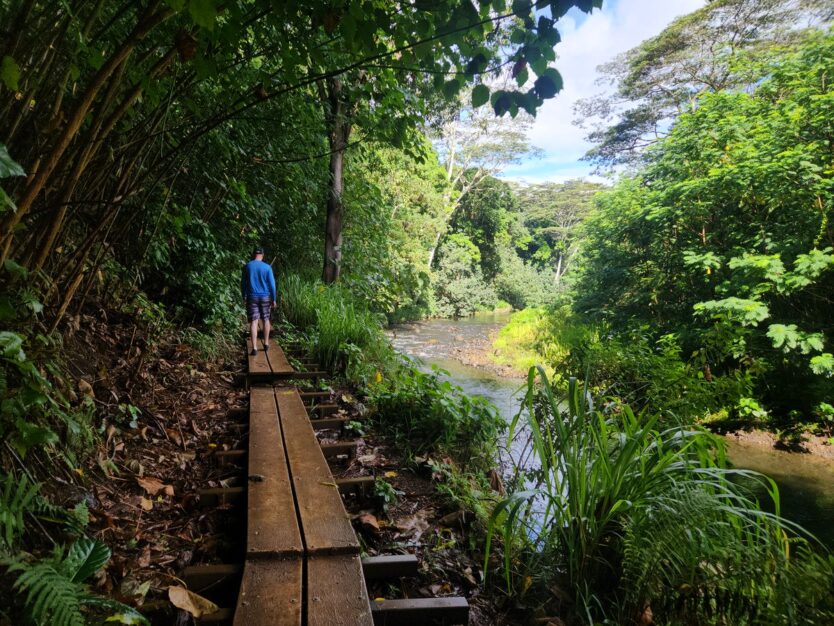 boardwalk on hike to secret falls in hawaii