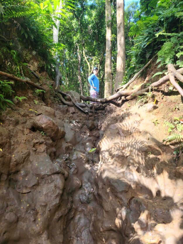 muddy area on hike to secret falls in hawaii