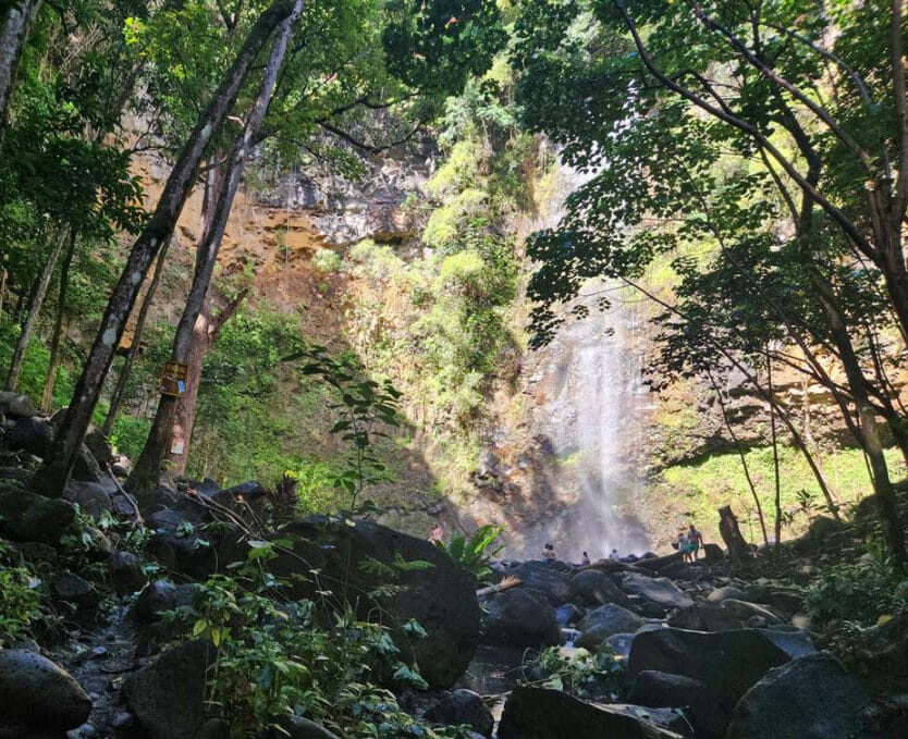 secret falls through the trees in hawaii
