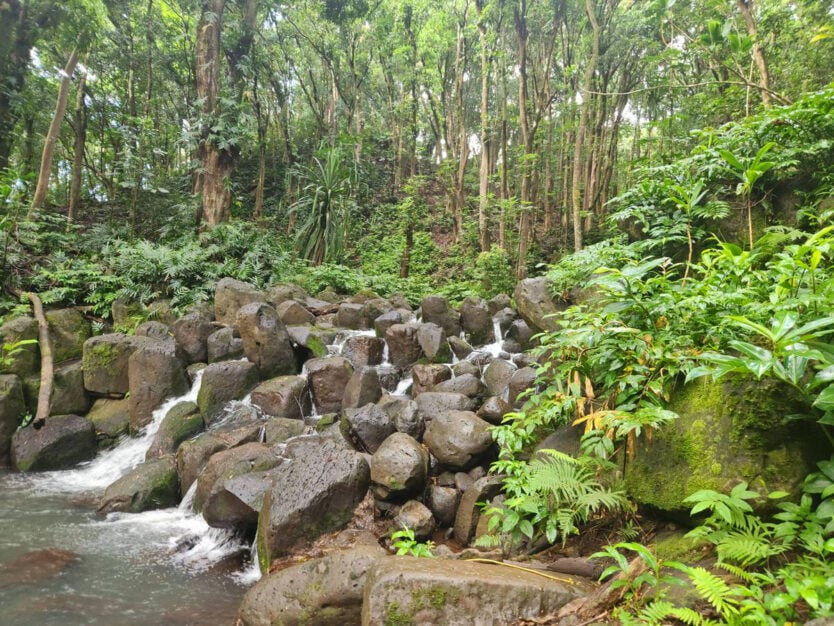 small waterfall on way to secret falls on kauai