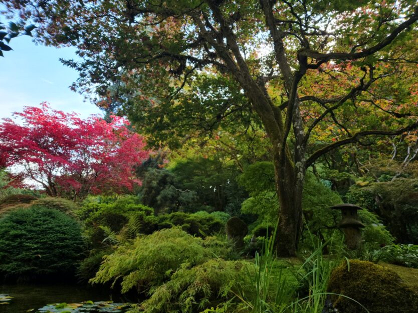 victoria butchart gardens japanese garden