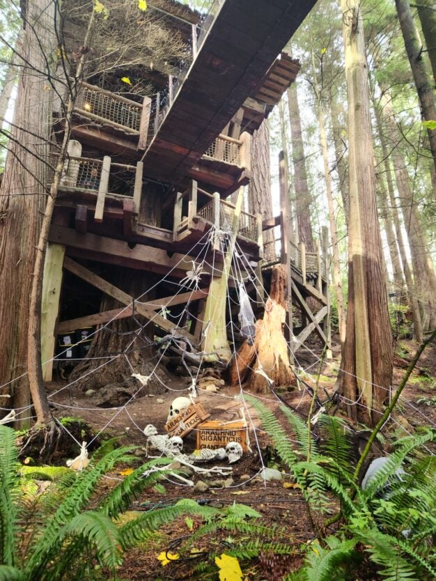 capilano suspension bridge park canyon frights