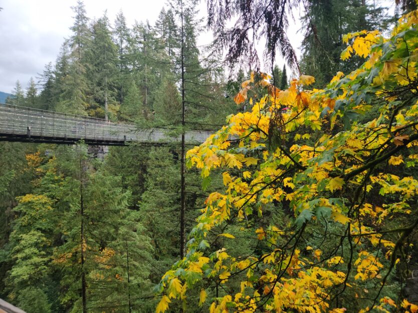 capilano suspension bridge park in fall vancouver