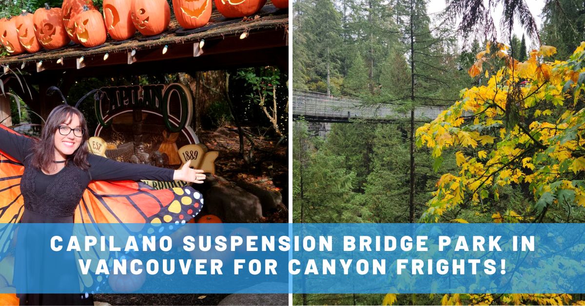 Vancouver’s Capilano Suspension Bridge Park in Fall for Canyon Frights!