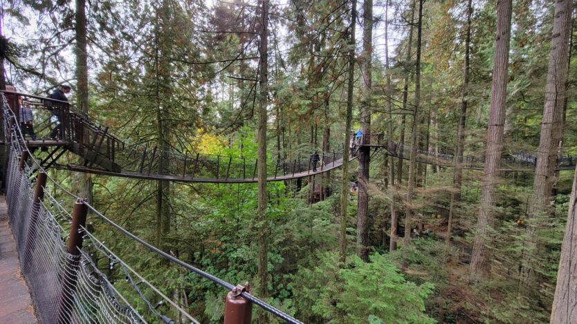 capilano suspension bridge park treetops adventure