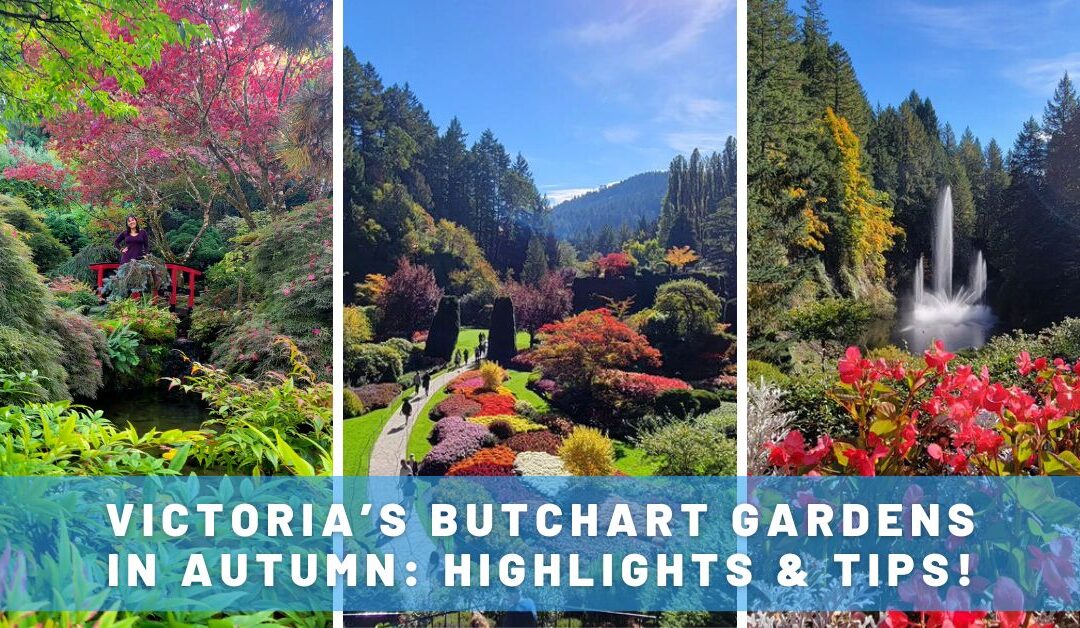 Butchart Gardens in Autumn: A Must-Visit Near Victoria, Canada!