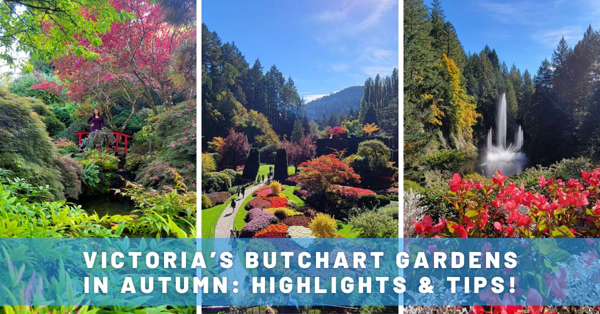 Victoria and Butchart Gardens Christmas Tour 2023 - Vancouver