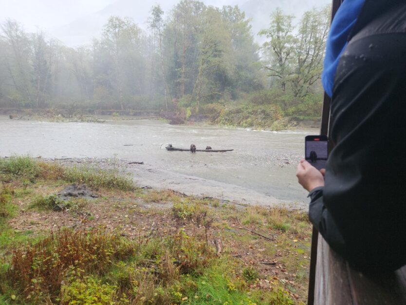 british colmbia canada toba inlet grizzly tour first nations