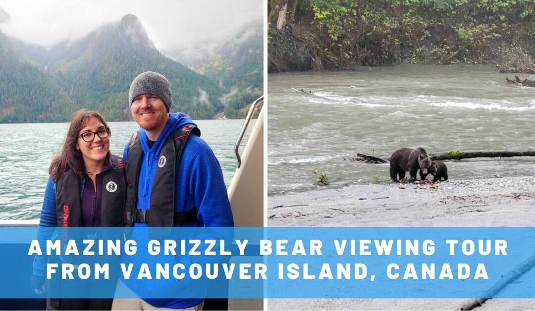Amazing Full-Day Grizzly Bear Viewing Tour from Vancouver Island