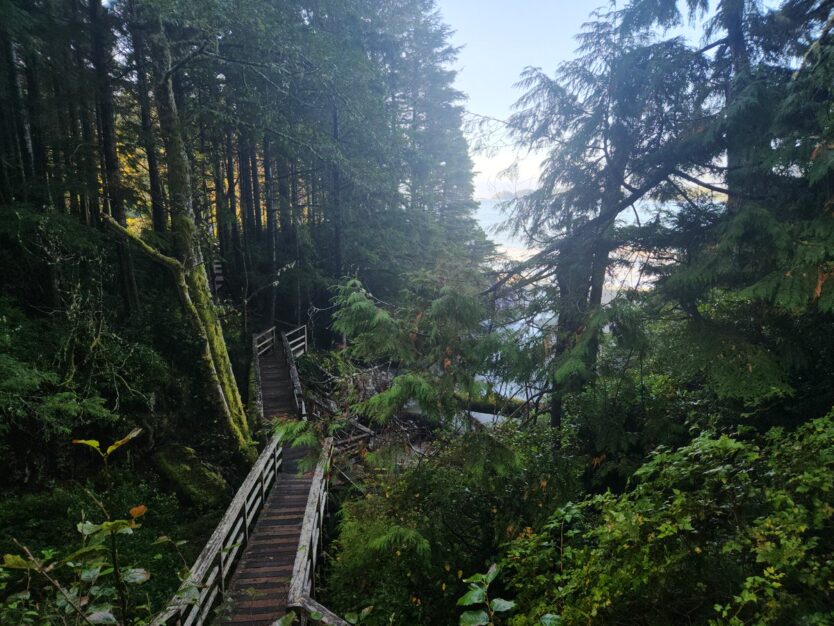 tonquin beach tofino vancouver island