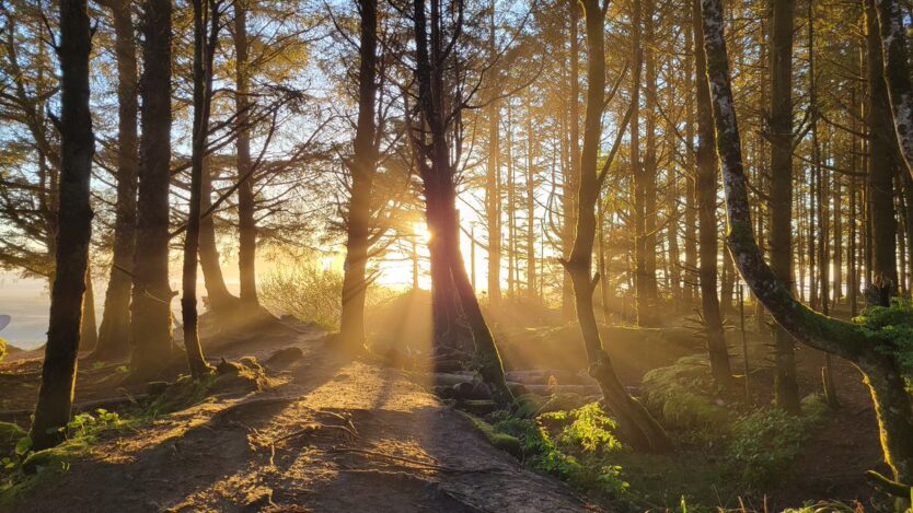 pnw nature trail