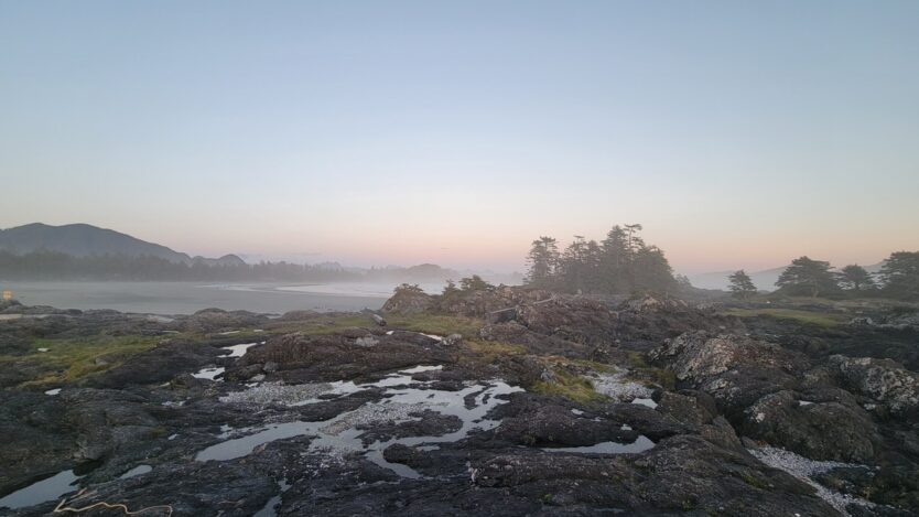 tofino beach strolls foggy morning